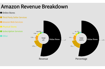 Amazon Revenue Breakdown by Category
