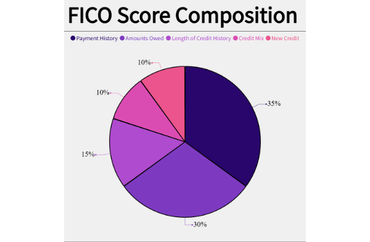 FICO Score Composition