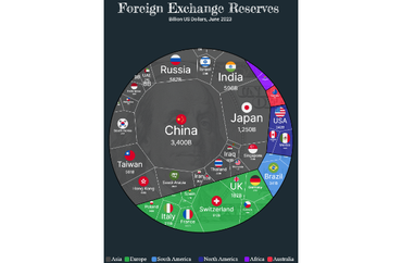 Foreign Exchange Reserves