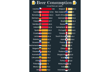 Beer Consumption