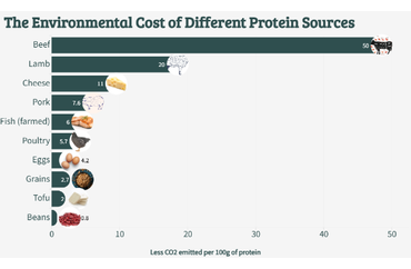Environmental Impact of Protein Sources