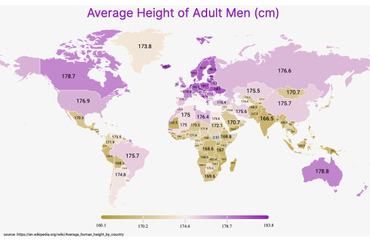 Men Height