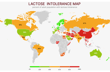 Lactose intolerance