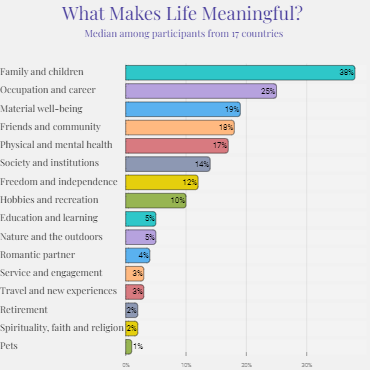 What Makes Life Meaningful?
