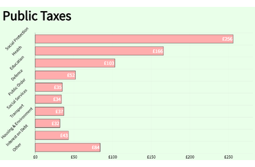 Public Taxes Allocation in Various Sectors