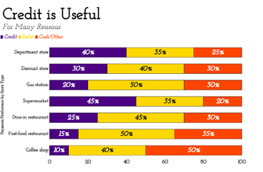 Credit Usage Across Different Store Types