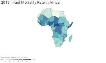 2019 Infant Mortality Rate in Africa