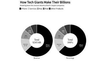Revenue Breakdown of a Tech Giant