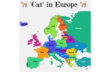 Cat in Europe