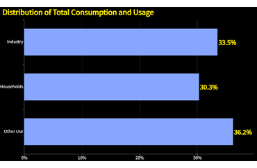 Distribution of Total Consumption and Usage