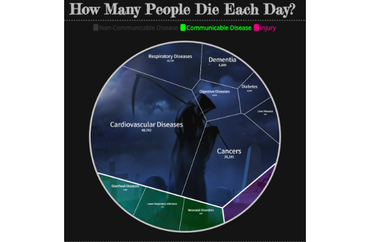 Daily Global Death Causes