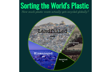 Global Plastic Waste Management