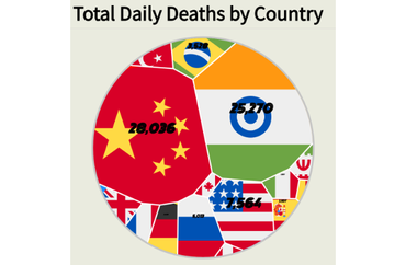 Total Daily Deaths by Country