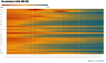 Life Expectancy at Birth
