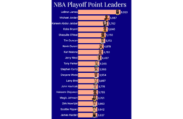NBA Playoff Leaders