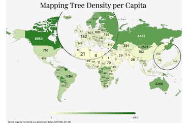 Tree Density